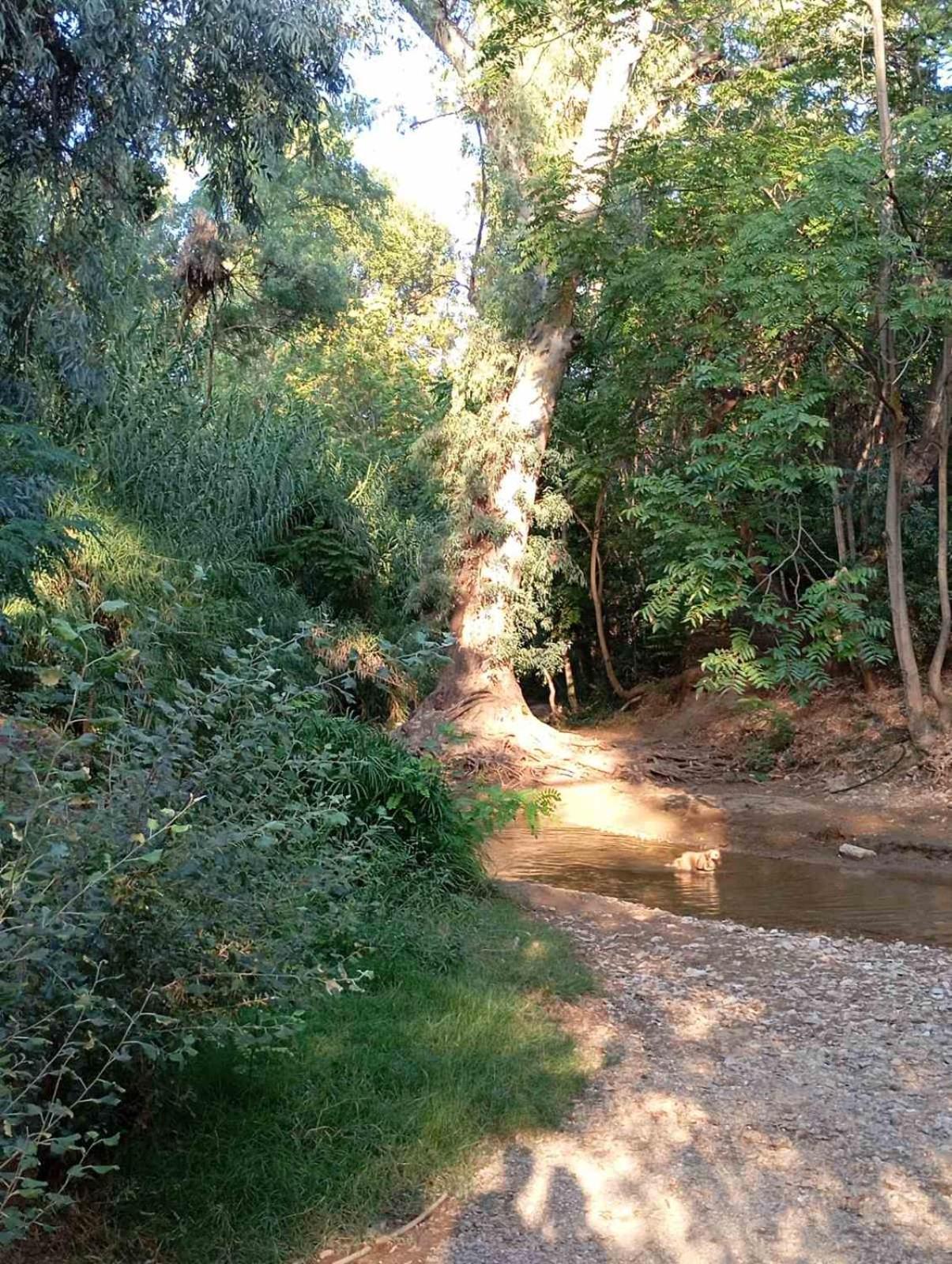Διαμέρισμα Studiojoy4Stay Στο Χαλάνδρι Αθήνα Εξωτερικό φωτογραφία